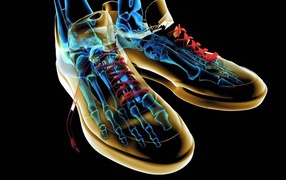 Скелет в неоновой обуви