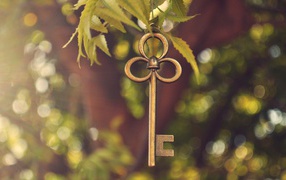 Ключ висит на ветке