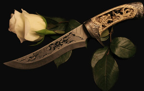 Белая роза и кинжал