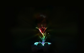 Водяной цветок в руках