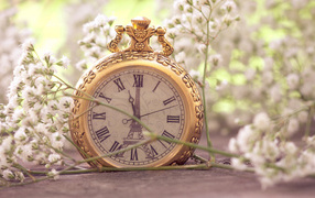 Карманные часы в белых цветках