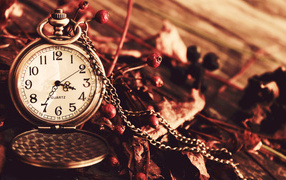 Карманные часы с цепочкой