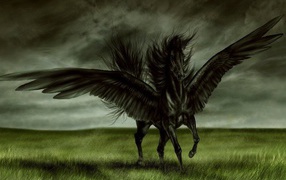 Черная лошадь с крыльями