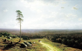 Одинокое дерево у дороги