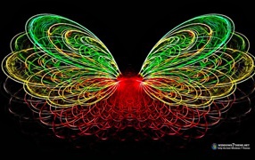 	   The wings of a butterfly