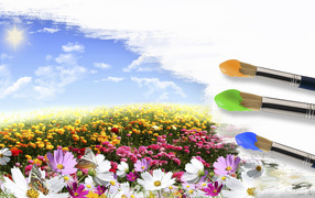 	   Field of flowers and brushes