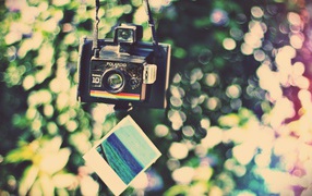 	   The Polaroid camera