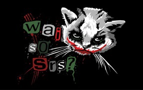 Funny cat Joker