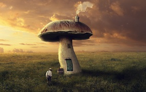 The house is in mushroom