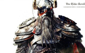 Лицо викинга