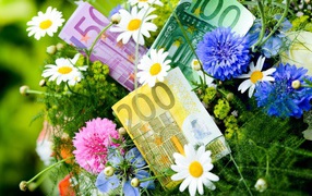 Евро в цветах