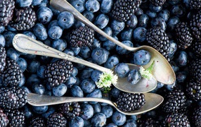 Spoon blueberries and blackberries