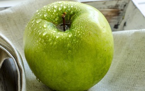 Wet apple on canvas