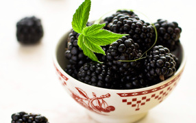 	   A Cup of blackberries