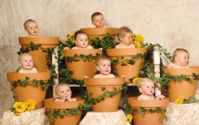 Дети растут в горшках