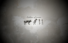 Эволюция женщины