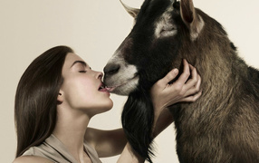 	   Love is evil, love and goat