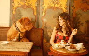 Собака просит еще еды