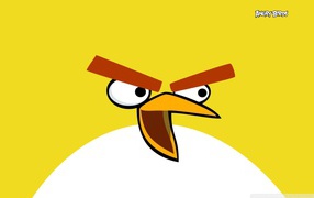 Angry Birds абстракция