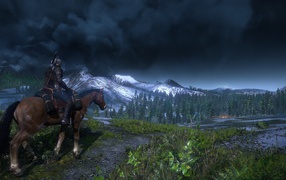 Герой на коне из игры Ведьмак