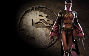 Логотип видео игры Мортал Комбат