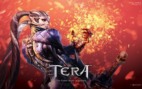 The warrior of video games Tera