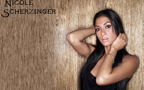 Очаровательная актриса Николь Шерзингер