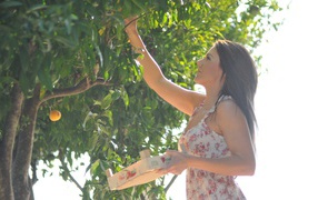 Девушка собирает фрукты