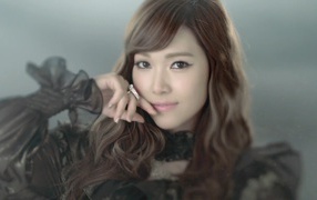 Корейская  модель