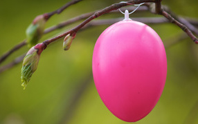 Pink egg on a branch for Easter