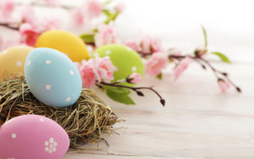 Pink flowers and eggs for Easter