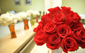 Beautiful red roses on March 8 holiday