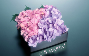 Коробка с цветами на 8 марта