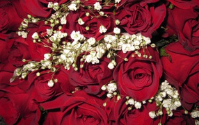 Украшенные красные розы в подарок женщинам на восьмое марта
