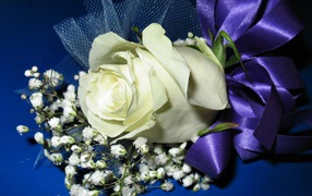 Украшенная белая роза на синем фоне в подарок на восьмое марта