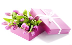 Gift on March 8