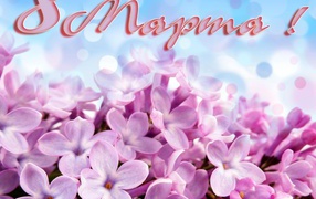 Первоцвет на 8 марта