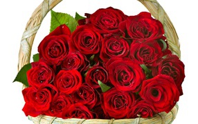 Красные розы в корзине в подарок женщинам на восьмое марта