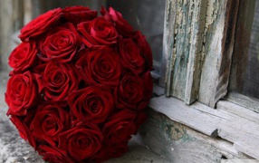 Красные розы на 8 марта возле окна