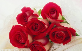 Red roses on March 8 for favorite