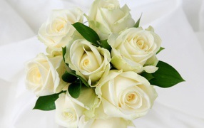 Белые розы в красивом букете на белом фоне на восьмое марта