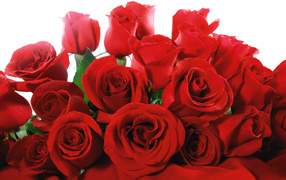  Luxury bouquet of red roses on March 8