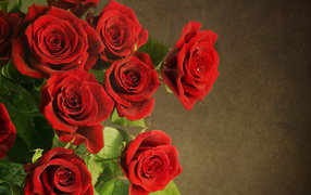 Букет роскошных красных роз на 8 марта
