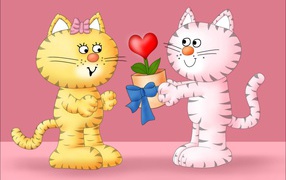 Cat love on Valentine's Day February 14