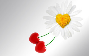 Сердце ромашка на День Святого Валентина 14 февраля