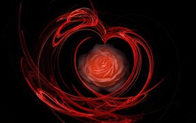 Огненная роза на День Святого Валентина 14 февраля