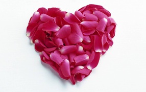 Сердце из красных лепестков на День Влюбленных 14 февраля
