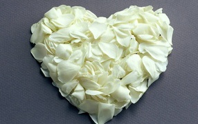Сердце из белых лепестков на День Влюбленных 14 февраля