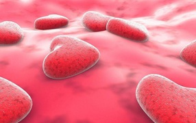 Сердца на розовом фоне на День Святого Валентина 14 февраля