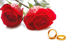 Roses and rings on Valentine's Day